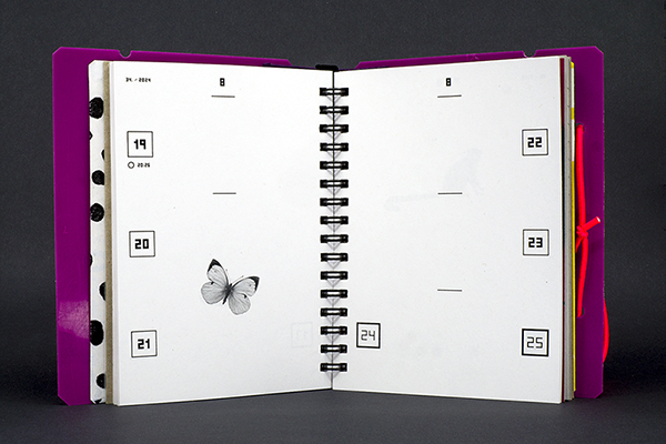 KA_LEN_DIAR - A6 - Taschenkalender 2025 - 2